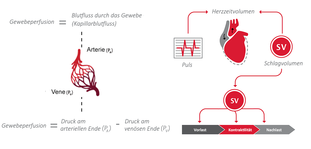 Proaktives Management des Drucks und des Flusses f&uuml;r die Perfusion